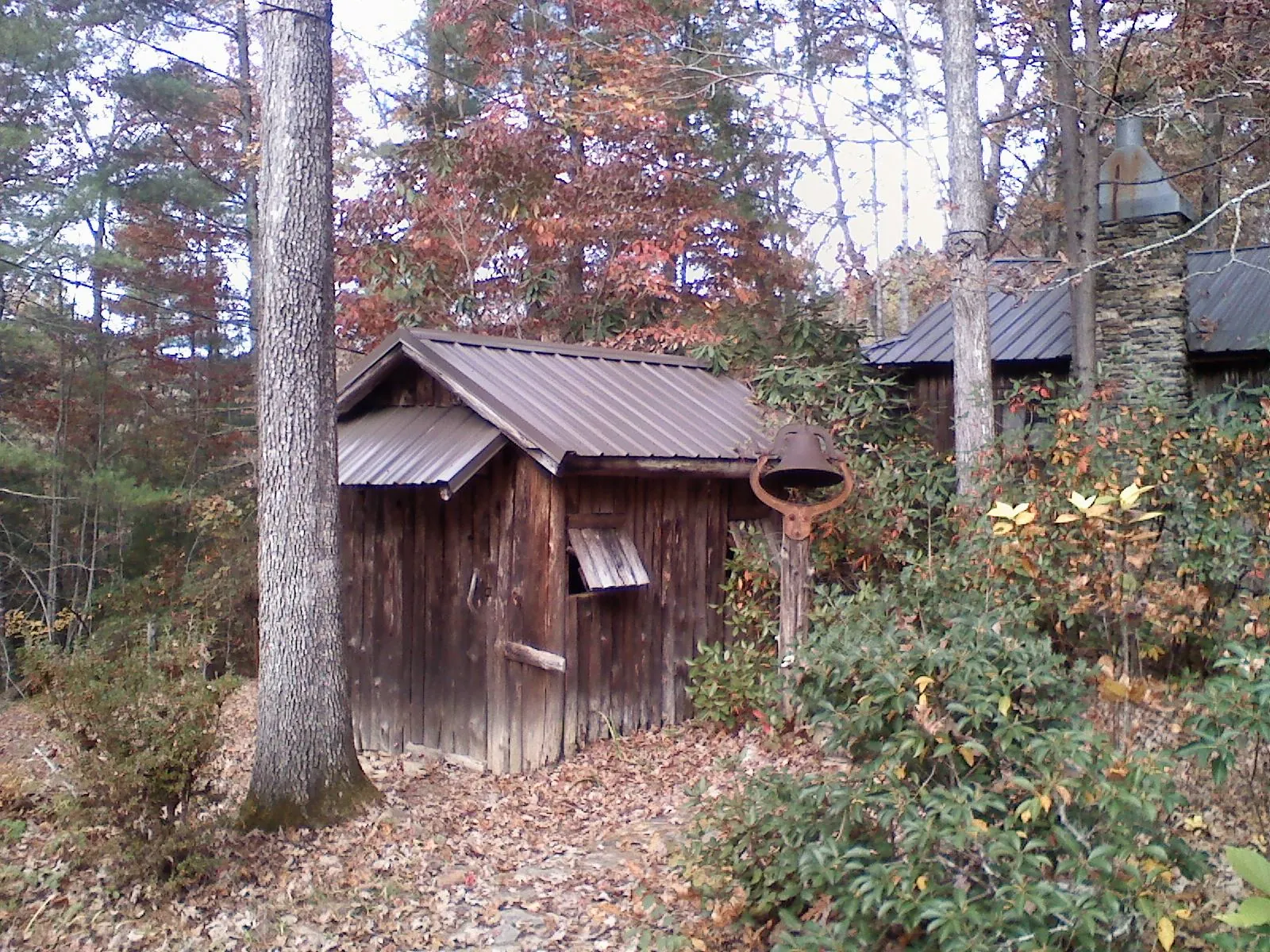 Small metal roof on a rough sawn shed in the woods in Batesville